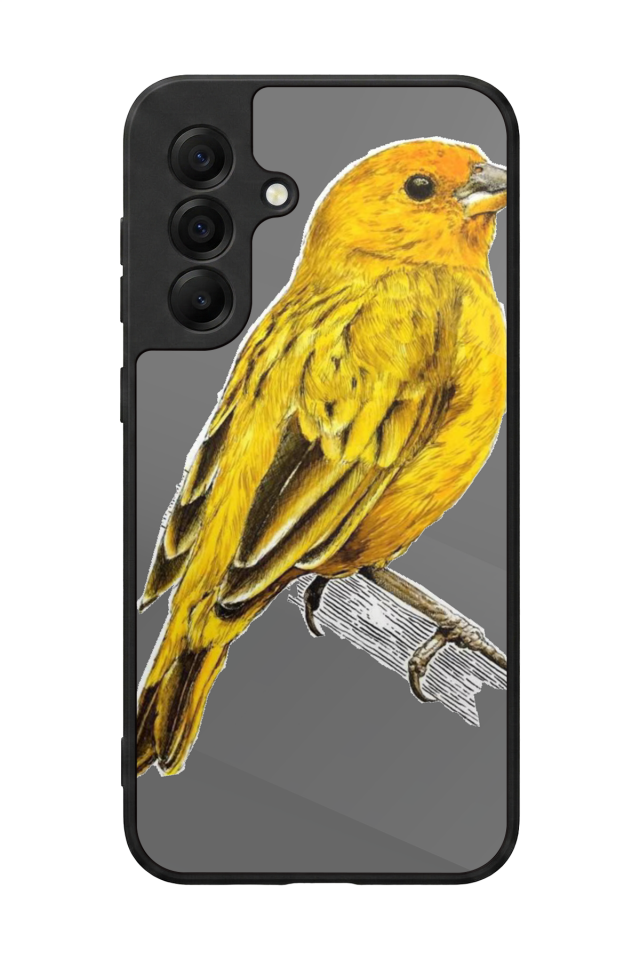 Samsung Galaxy A17 Uyumlu Fenerbahce Tasarımlı Glossy Premium Kılıf
