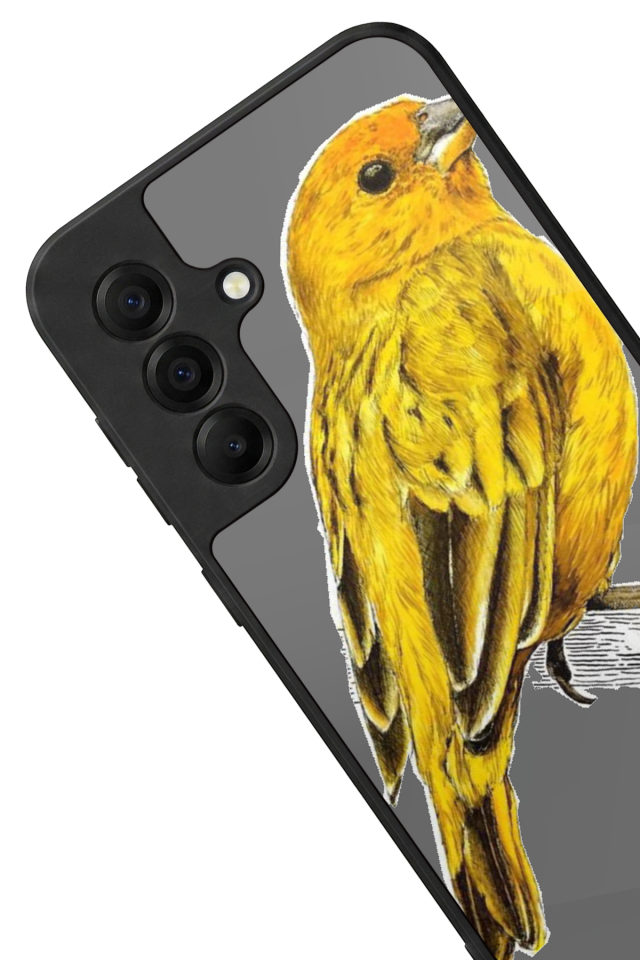 Samsung Galaxy A17 Uyumlu Fenerbahce Tasarımlı Glossy Premium Kılıf