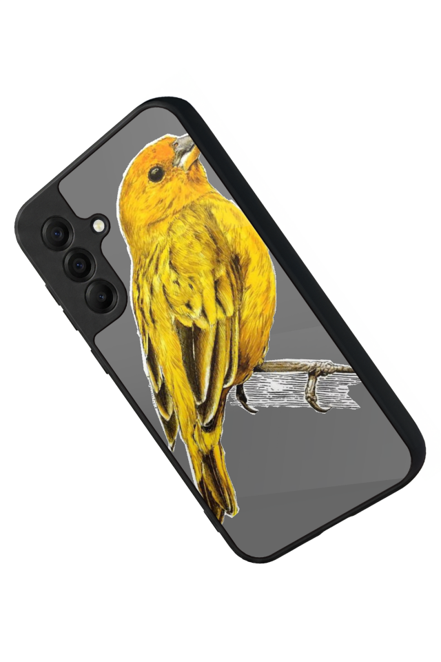 Samsung Galaxy A17 Uyumlu Fenerbahce Tasarımlı Glossy Premium Kılıf