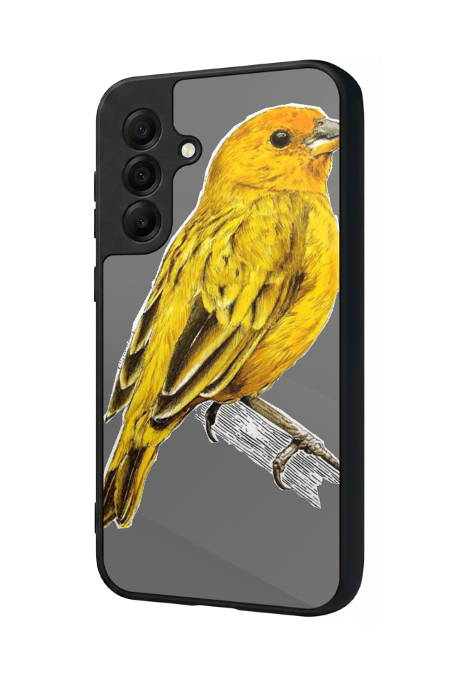 Samsung Galaxy A17 Uyumlu Fenerbahce Tasarımlı Glossy Premium Kılıf