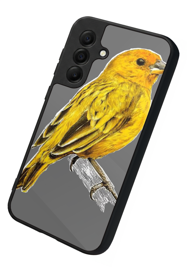 Samsung Galaxy A17 Uyumlu Fenerbahce Tasarımlı Glossy Premium Kılıf