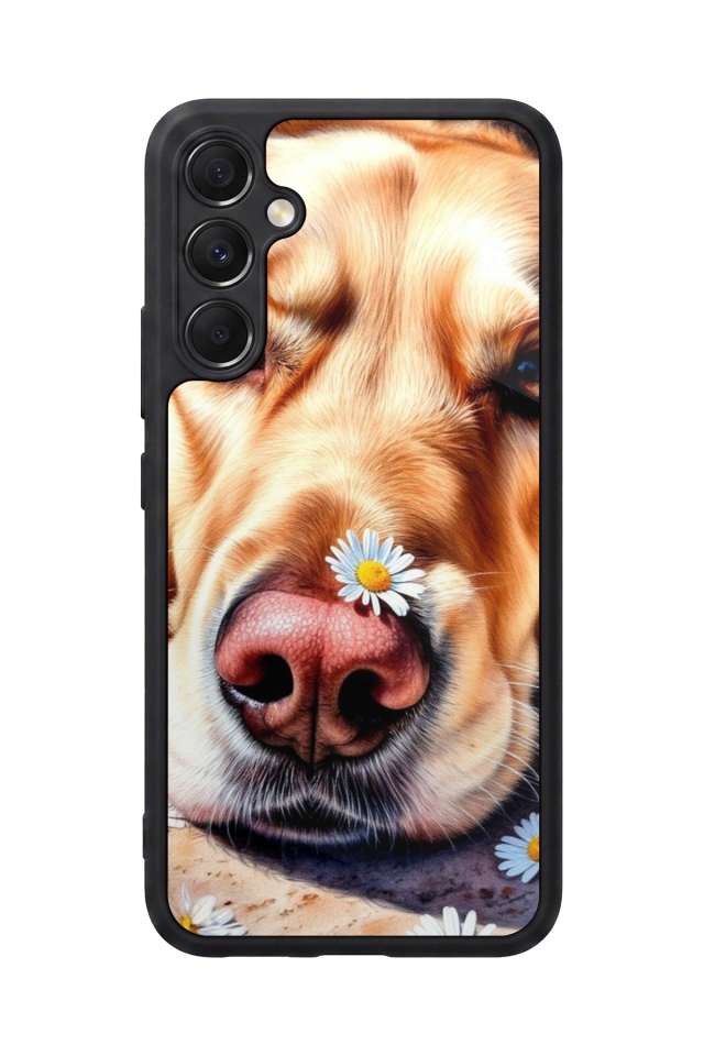 Samsung Galaxy M34 Uyumlu Golden Kopek Tasarımlı Glossy Premium Kılıf