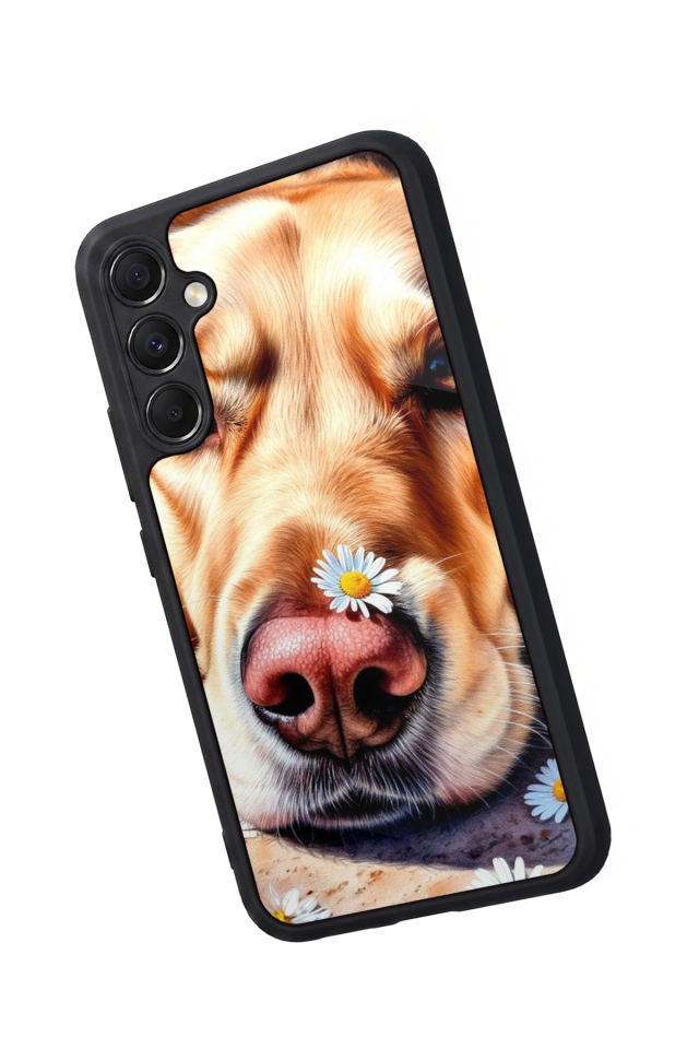 Samsung Galaxy M34 Uyumlu Golden Kopek Tasarımlı Glossy Premium Kılıf