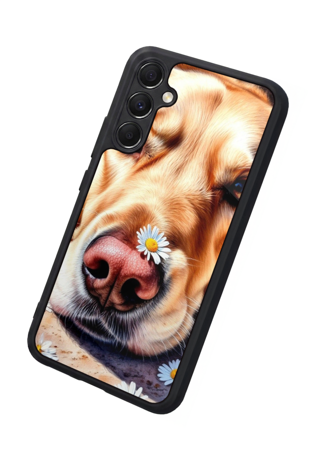 Samsung Galaxy M34 Uyumlu Golden Kopek Tasarımlı Glossy Premium Kılıf