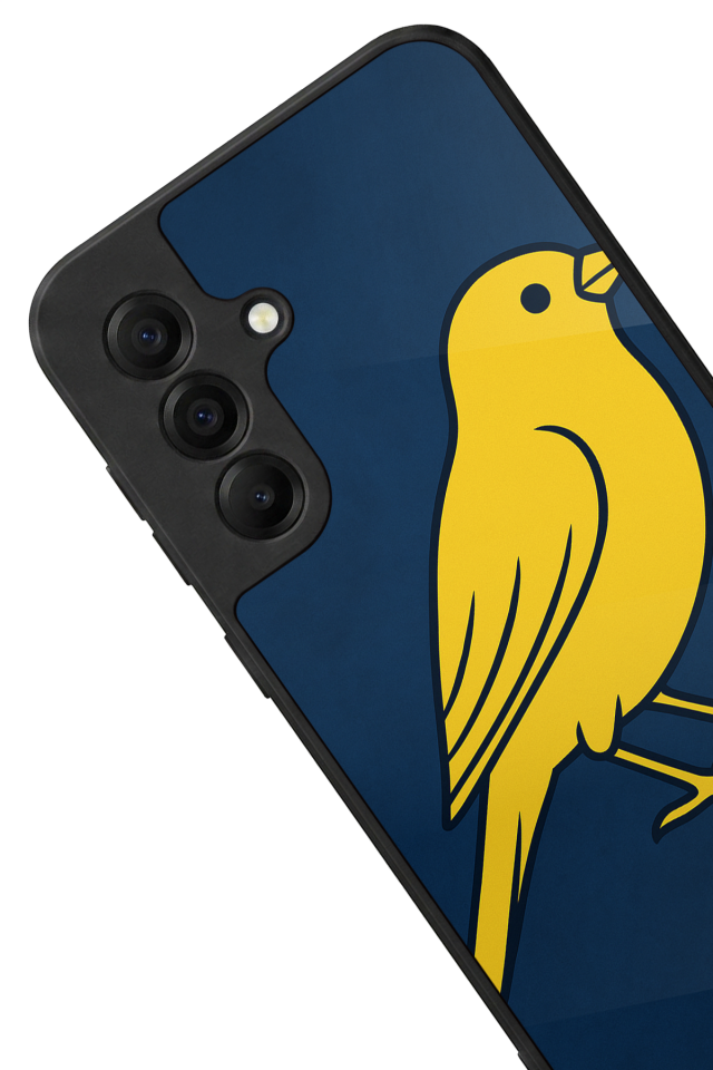 Samsung Galaxy A17 Uyumlu Fenerbahce Tasarımlı Glossy Premium Kılıf