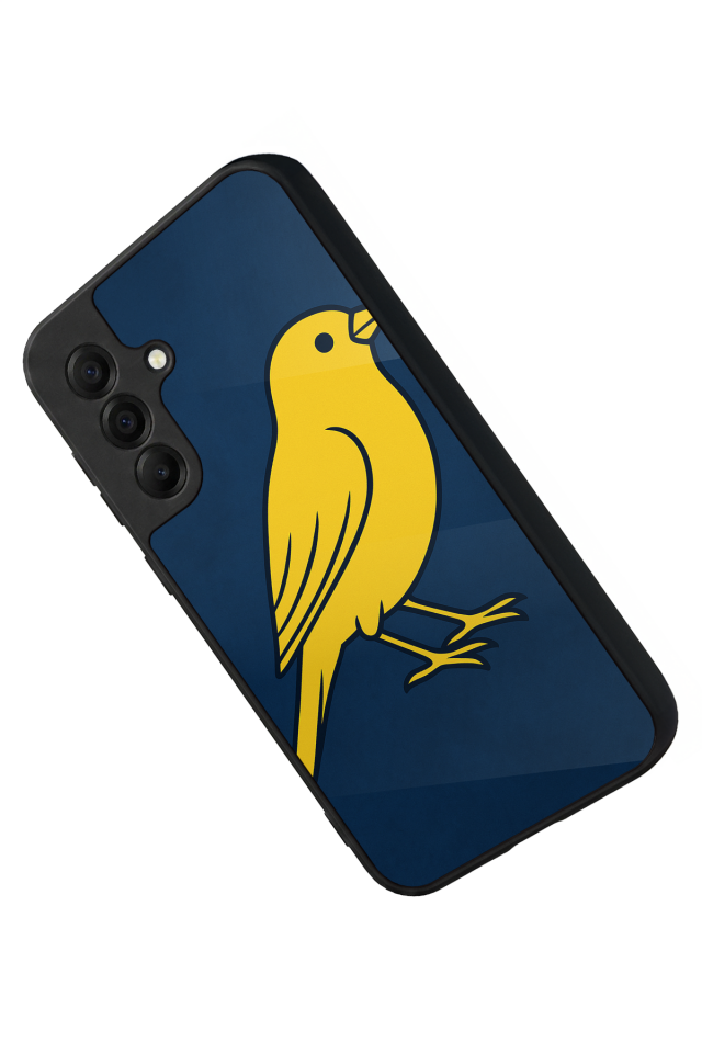 Samsung Galaxy A17 Uyumlu Fenerbahce Tasarımlı Glossy Premium Kılıf