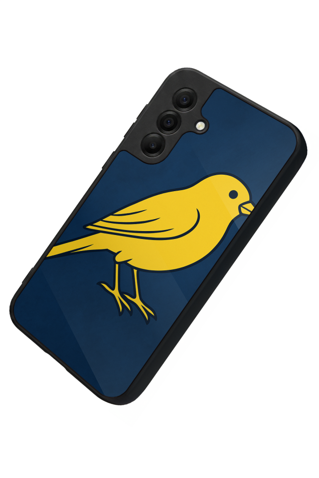 Samsung Galaxy A17 Uyumlu Fenerbahce Tasarımlı Glossy Premium Kılıf