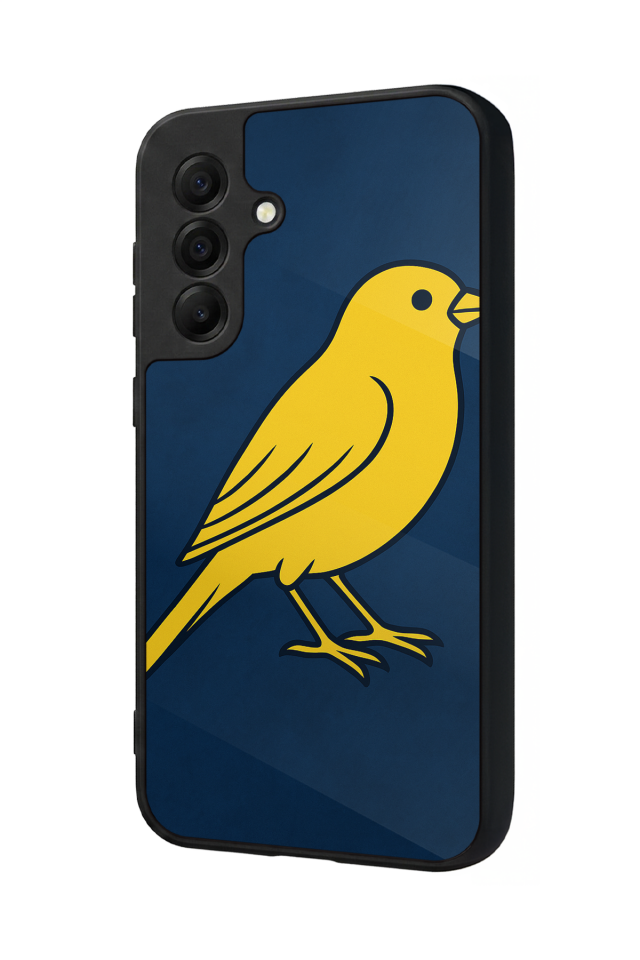 Samsung Galaxy A17 Uyumlu Fenerbahce Tasarımlı Glossy Premium Kılıf