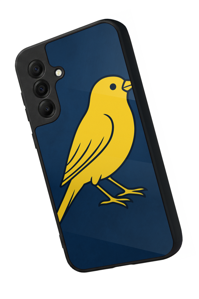 Samsung Galaxy A17 Uyumlu Fenerbahce Tasarımlı Glossy Premium Kılıf