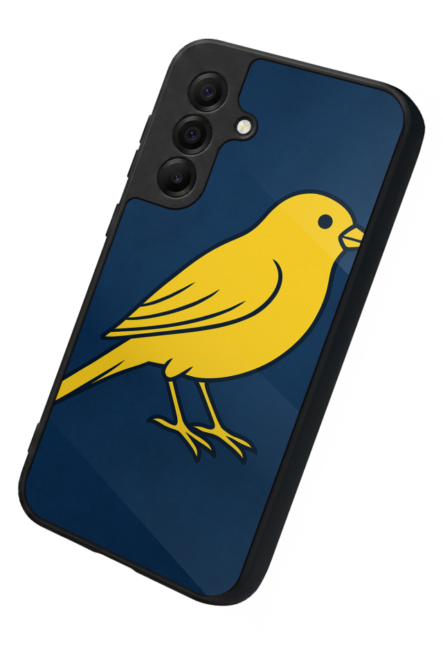 Samsung Galaxy A17 Uyumlu Fenerbahce Tasarımlı Glossy Premium Kılıf