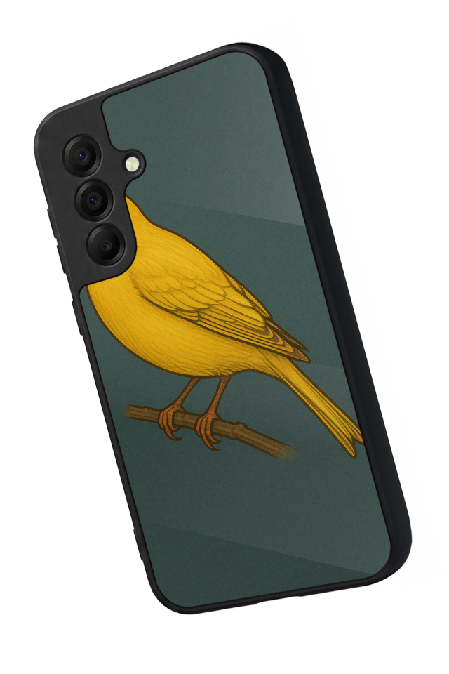 Samsung Galaxy A17 Uyumlu Fenerbahce Tasarımlı Glossy Premium Kılıf