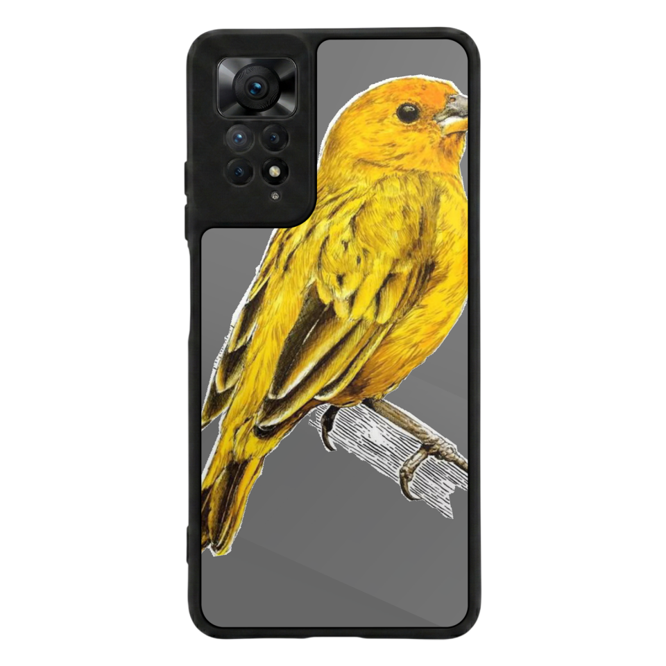 Xiaomi Redmi Note 11 Pro Uyumlu Aslan Tasarımlı Glossy Premium Kılıf