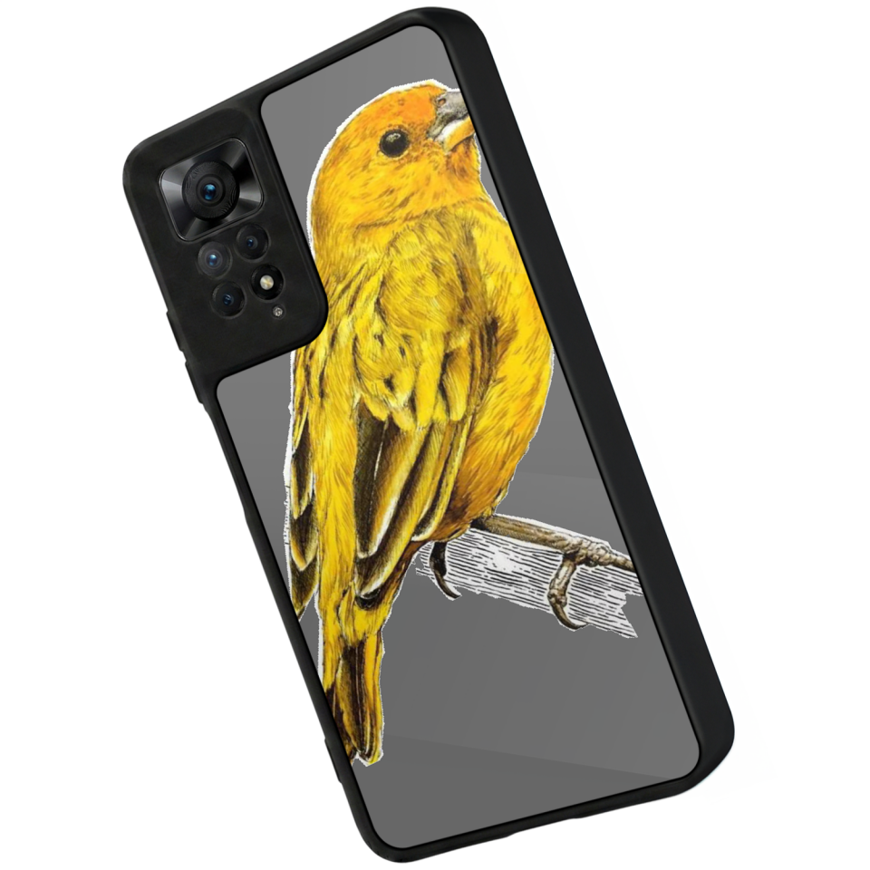 Xiaomi Redmi Note 11 Pro Uyumlu Aslan Tasarımlı Glossy Premium Kılıf