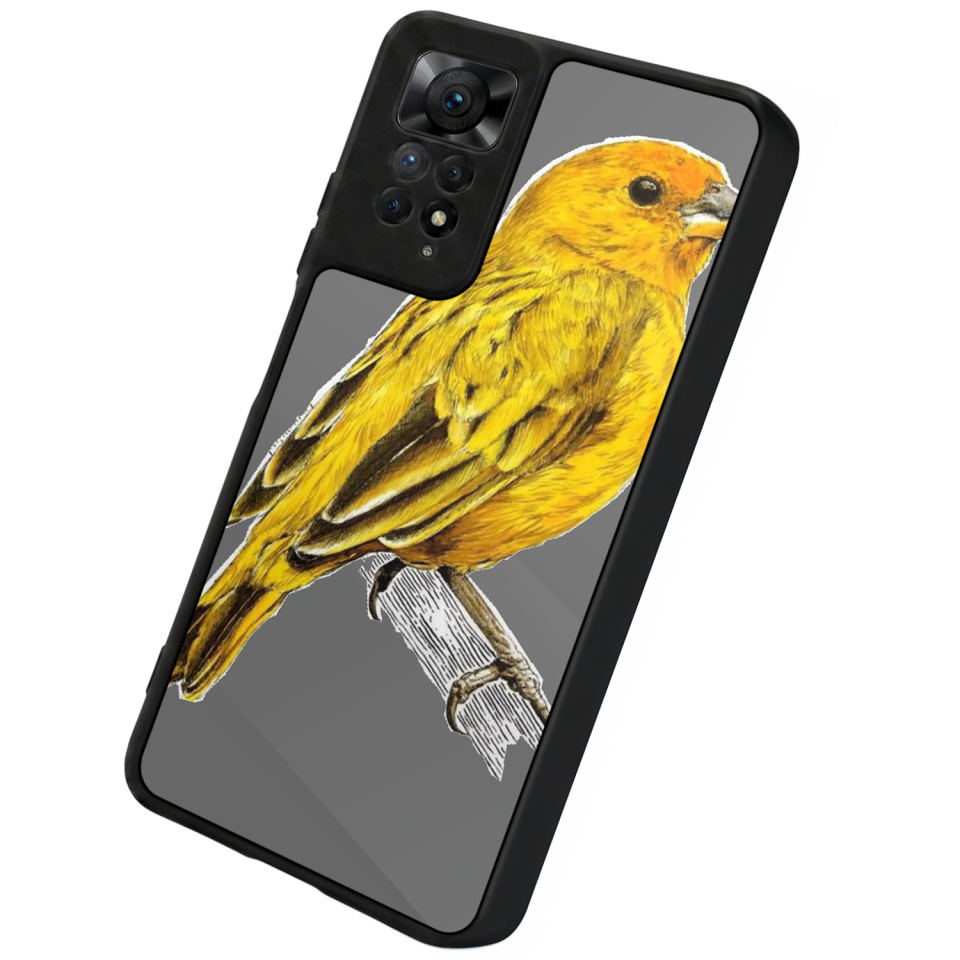 Xiaomi Redmi Note 11 Pro Uyumlu Aslan Tasarımlı Glossy Premium Kılıf