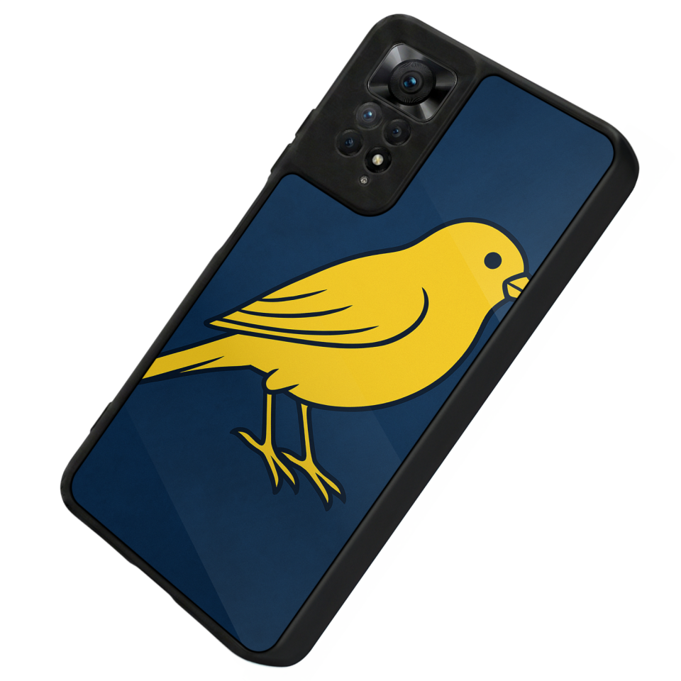 Xiaomi Redmi Note 11 Pro Uyumlu Fenerbahce Tasarımlı Glossy Premium Kılıf