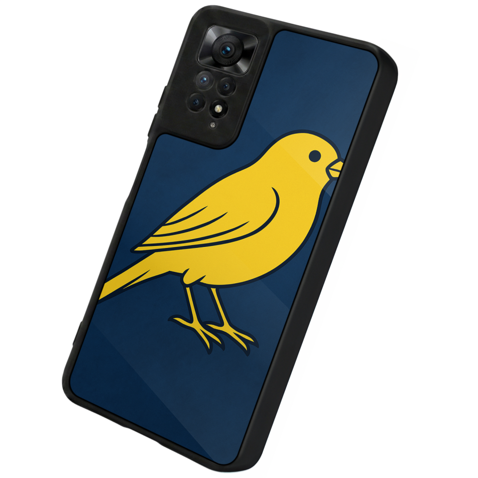 Xiaomi Redmi Note 11 Pro Uyumlu Fenerbahce Tasarımlı Glossy Premium Kılıf