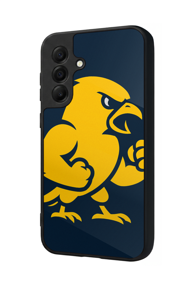 Samsung Galaxy A17 Uyumlu Fenerbahce Tasarımlı Glossy Premium Kılıf