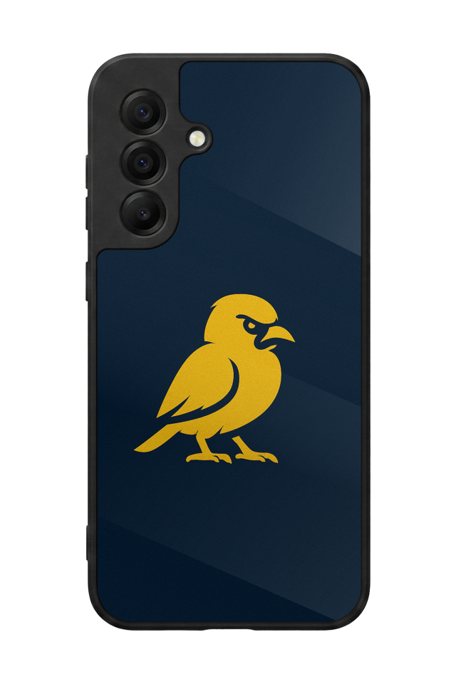 Samsung Galaxy A17 Uyumlu Fenerbahce Tasarımlı Glossy Premium Kılıf