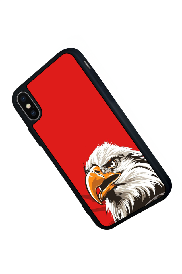 iPhone X/ XS Uyumlu Besiktas Tasarımlı Glossy Premium Kılıf