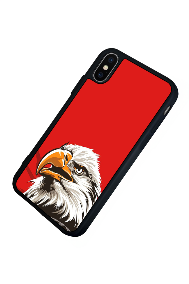 iPhone X/ XS Uyumlu Besiktas Tasarımlı Glossy Premium Kılıf