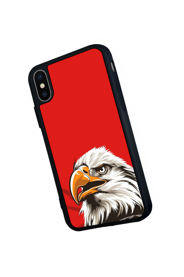 iPhone X/ XS Uyumlu Besiktas Tasarımlı Glossy Premium Kılıf