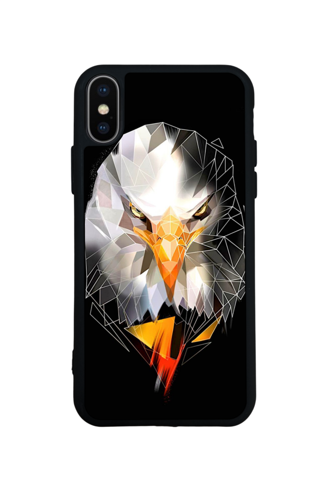 iPhone X/ XS Uyumlu Besiktas Tasarımlı Glossy Premium Kılıf