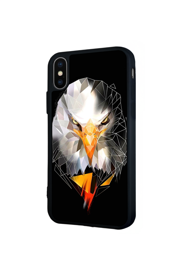 iPhone X/ XS Uyumlu Besiktas Tasarımlı Glossy Premium Kılıf