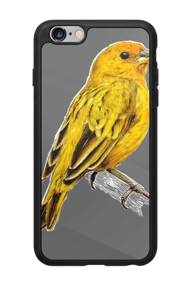 iPhone 6s Plus Uyumlu Fenerbahce Tasarımlı Glossy Premium Kılıf