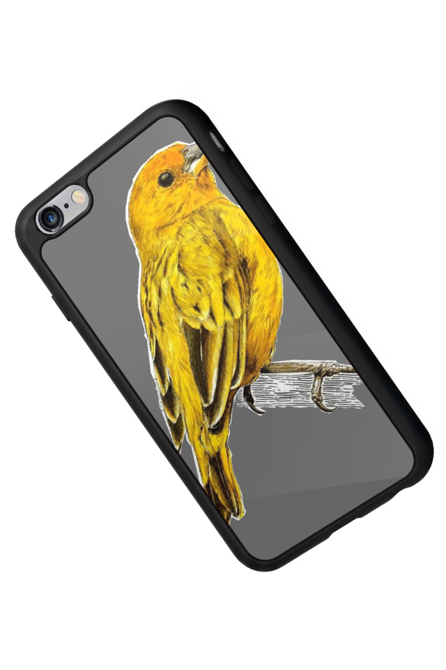iPhone 6s Plus Uyumlu Fenerbahce Tasarımlı Glossy Premium Kılıf