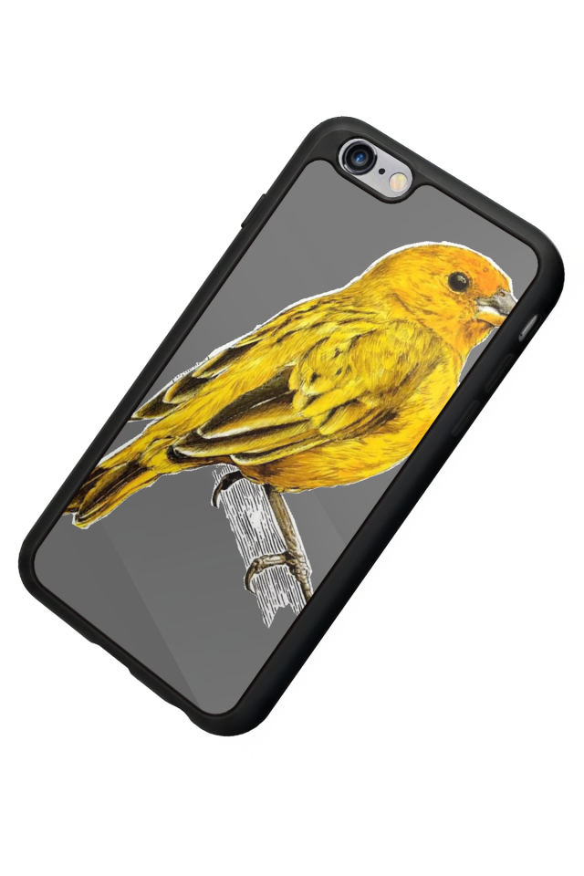 iPhone 6s Plus Uyumlu Fenerbahce Tasarımlı Glossy Premium Kılıf