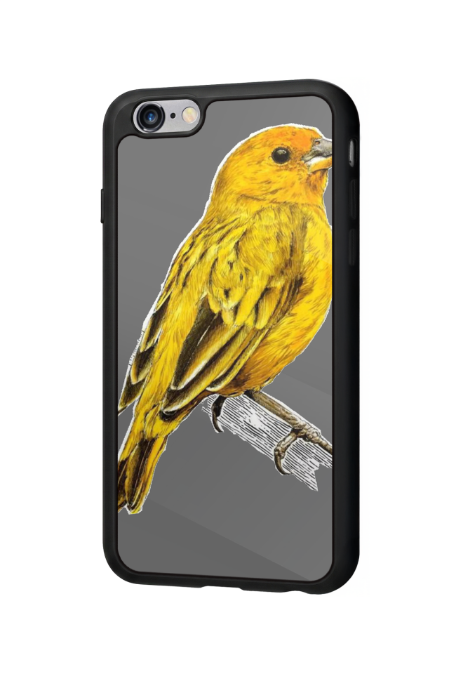 iPhone 6s Plus Uyumlu Fenerbahce Tasarımlı Glossy Premium Kılıf