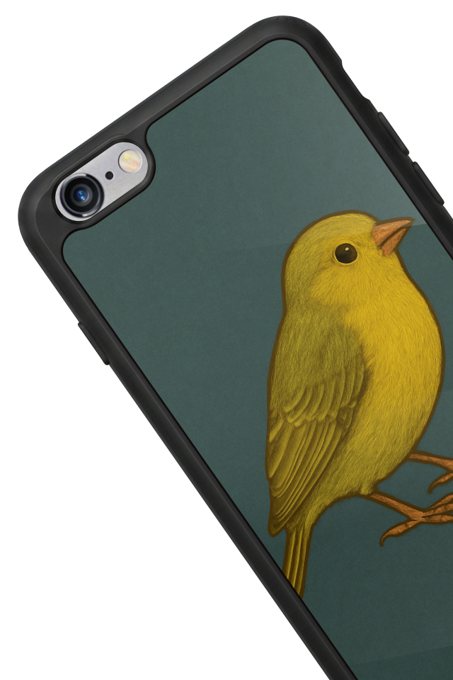 iPhone 6s Plus Uyumlu Fenerbahce Tasarımlı Glossy Premium Kılıf