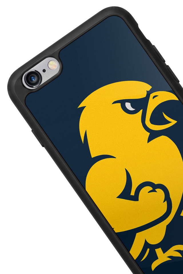 iPhone 6s Plus Uyumlu Fenerbahce Tasarımlı Glossy Premium Kılıf