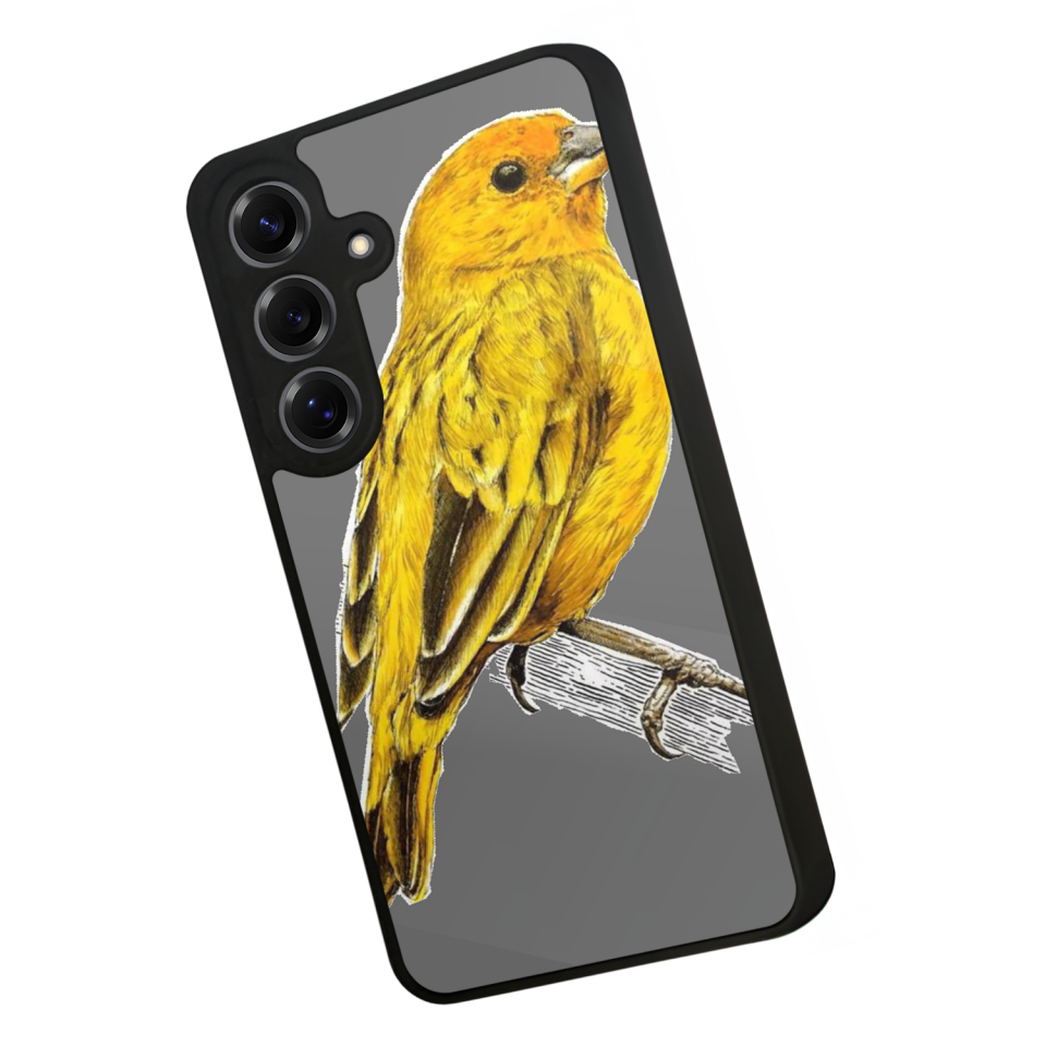 Samsung Galaxy S25 Uyumlu Fenerbahce Tasarımlı Glossy Premium Kılıf