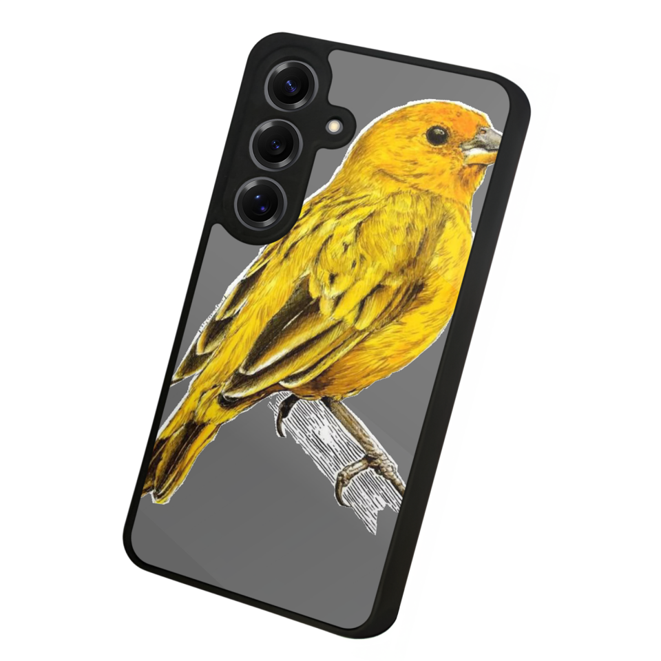 Samsung Galaxy S25 Uyumlu Fenerbahce Tasarımlı Glossy Premium Kılıf