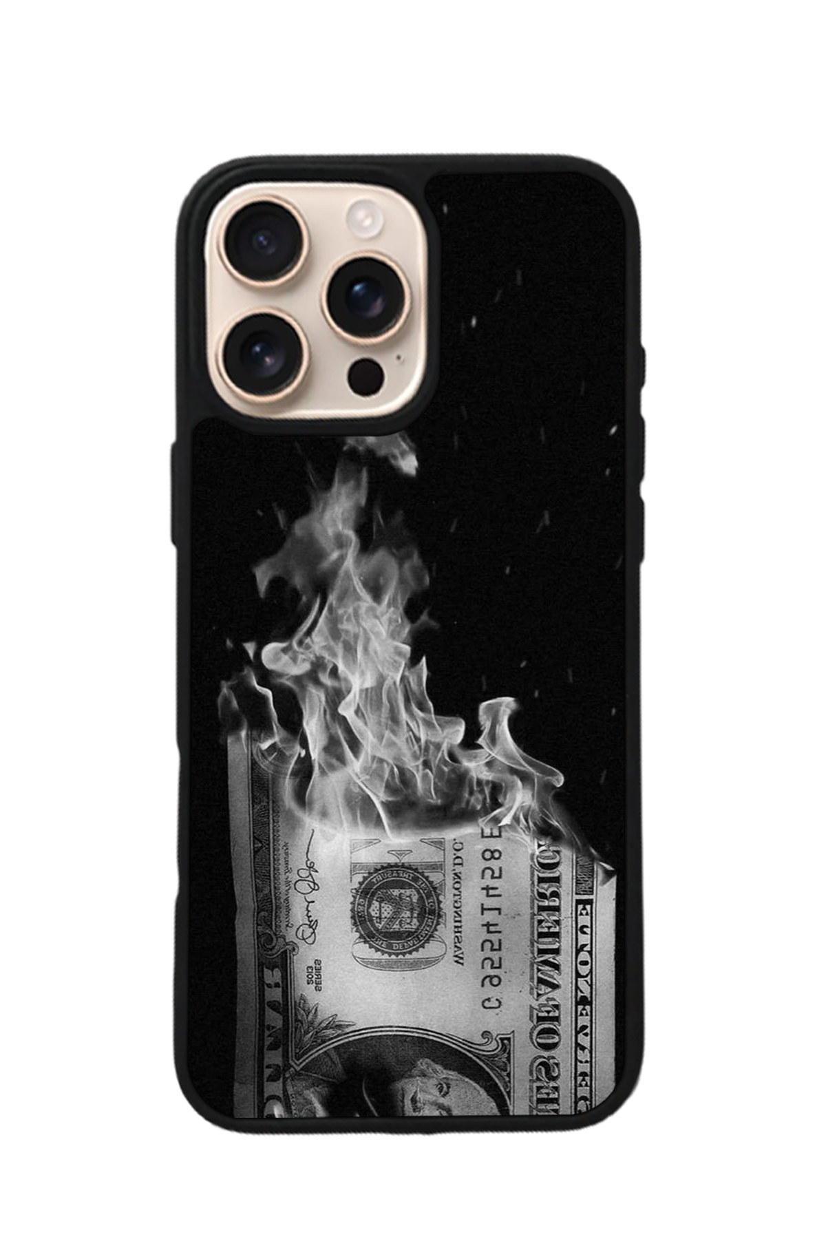 iPhone 16 Pro Uyumlu Para Tasarımlı Glossy Premium Kılıf