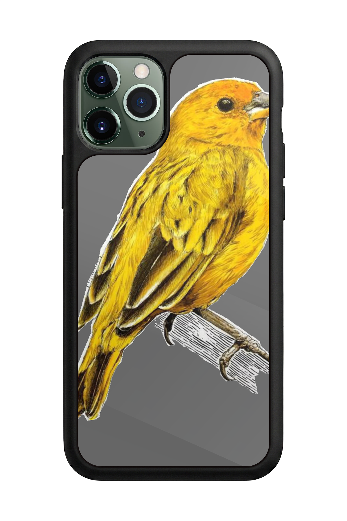 iPhone 11 Pro Max Uyumlu Fenerbahce Tasarımlı Glossy Premium Kılıf