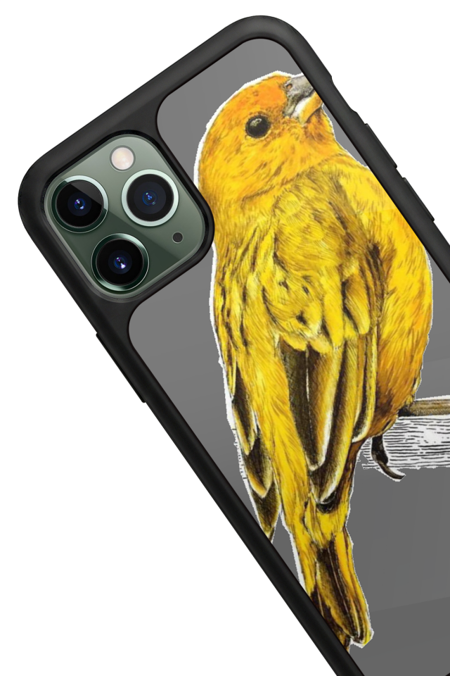 iPhone 11 Pro Max Uyumlu Fenerbahce Tasarımlı Glossy Premium Kılıf