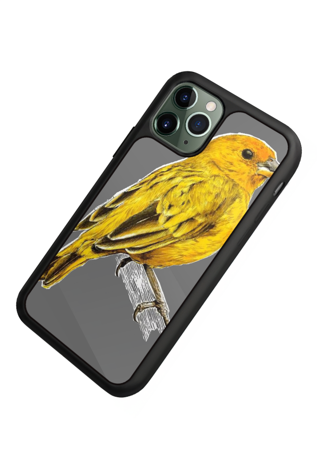 iPhone 11 Pro Max Uyumlu Fenerbahce Tasarımlı Glossy Premium Kılıf