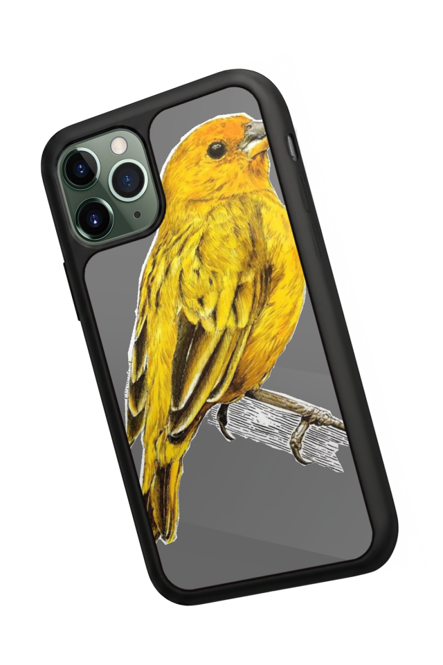 iPhone 11 Pro Max Uyumlu Fenerbahce Tasarımlı Glossy Premium Kılıf
