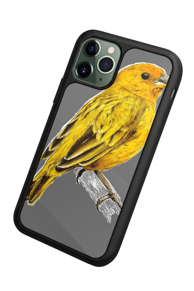 iPhone 11 Pro Max Uyumlu Fenerbahce Tasarımlı Glossy Premium Kılıf