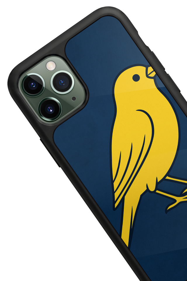 iPhone 11 Pro Max Uyumlu Fenerbahce Tasarımlı Glossy Premium Kılıf