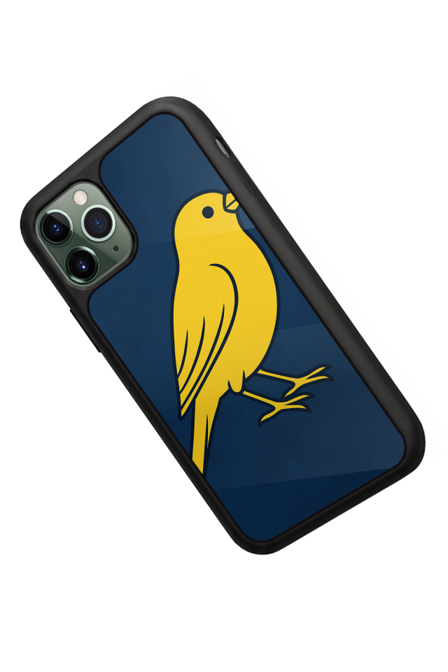 iPhone 11 Pro Max Uyumlu Fenerbahce Tasarımlı Glossy Premium Kılıf