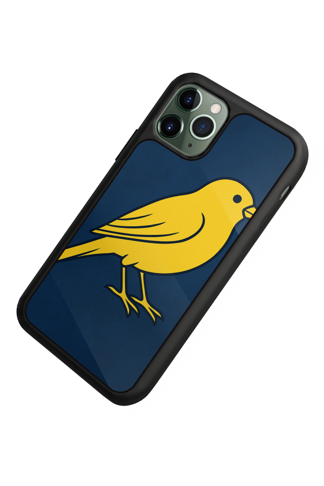 iPhone 11 Pro Max Uyumlu Fenerbahce Tasarımlı Glossy Premium Kılıf