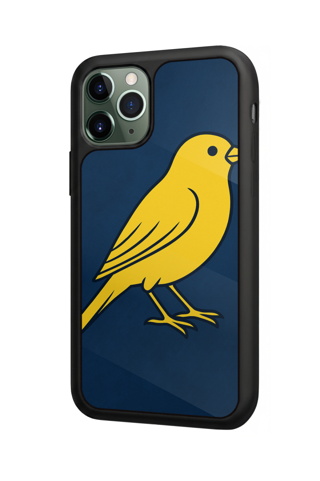 iPhone 11 Pro Max Uyumlu Fenerbahce Tasarımlı Glossy Premium Kılıf