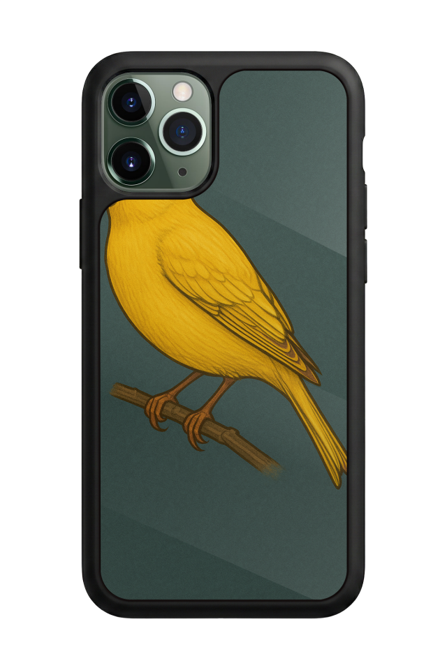 iPhone 11 Pro Max Uyumlu Fenerbahce Tasarımlı Glossy Premium Kılıf