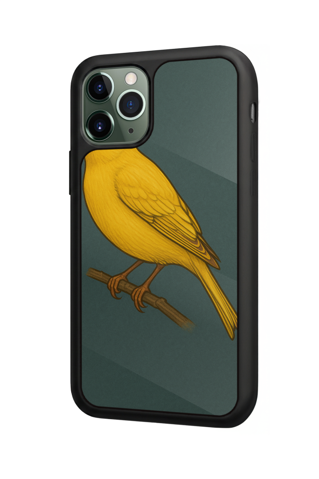 iPhone 11 Pro Max Uyumlu Fenerbahce Tasarımlı Glossy Premium Kılıf