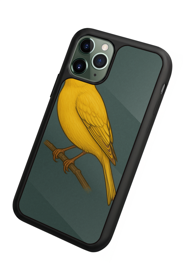 iPhone 11 Pro Max Uyumlu Fenerbahce Tasarımlı Glossy Premium Kılıf