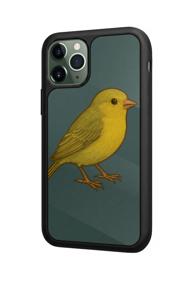 iPhone 11 Pro Max Uyumlu Fenerbahce Tasarımlı Glossy Premium Kılıf