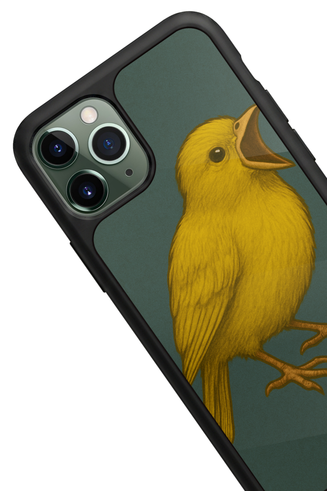 iPhone 11 Pro Max Uyumlu Fenerbahce Tasarımlı Glossy Premium Kılıf